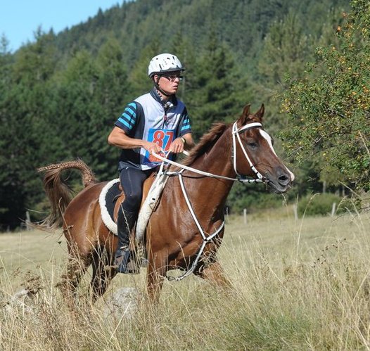 Nicolas Ballarin